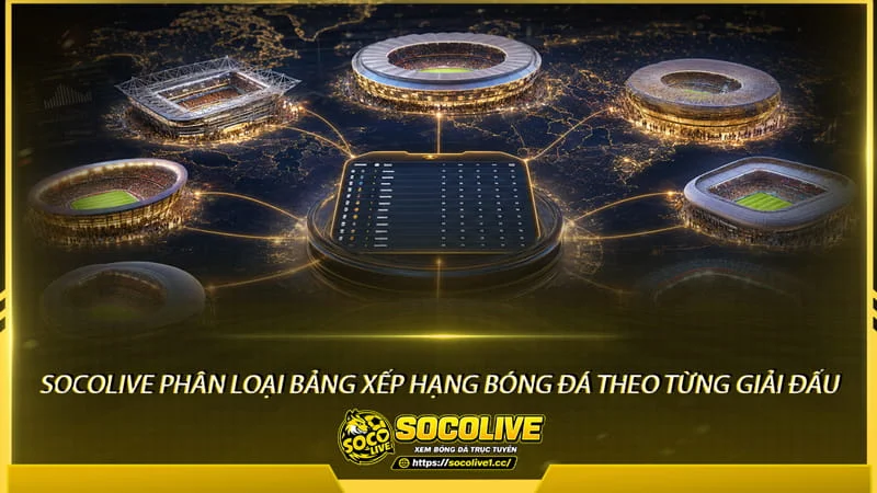 Socolive phân loại bảng xếp hạng bóng đá theo từng giải đấu