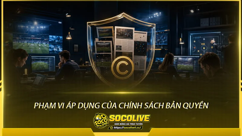 Phạm vi áp dụng của Chính sách bản quyền của Socolive TV