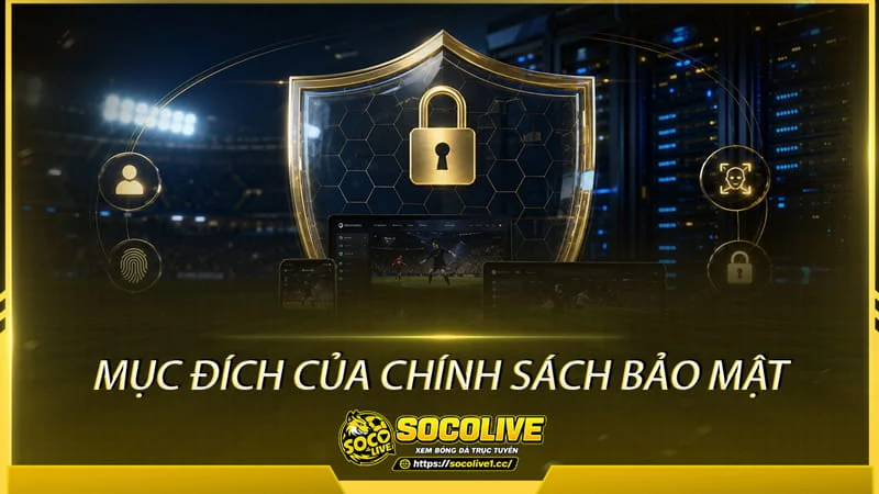 Mục đích của chính sách bảo mật Socolive