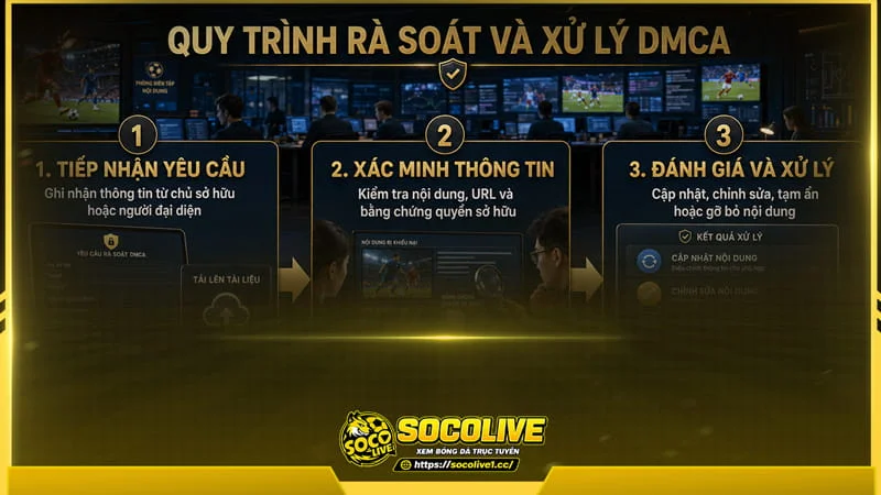 Quy trình xem xét và xử lý yêu cầu DMCA tại Socolive