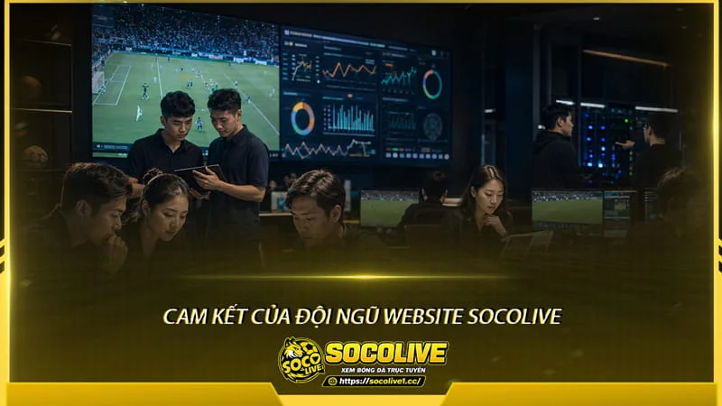 Cam kết của đội ngũ Website Socolive Cam kết của đội ngũ Website Socolive