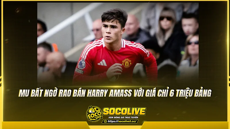 Harry Amass được định giá khoảng 6 triệu bảng Harry Amass được định giá khoảng 6 triệu bảng