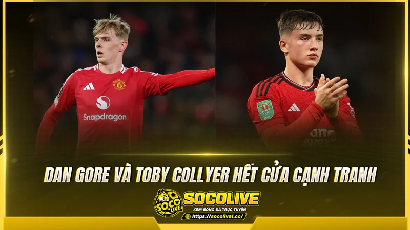 Dan Gore và Toby Collyer hết cửa cạnh tranh Dan Gore và Toby Collyer hết cửa cạnh tranh
