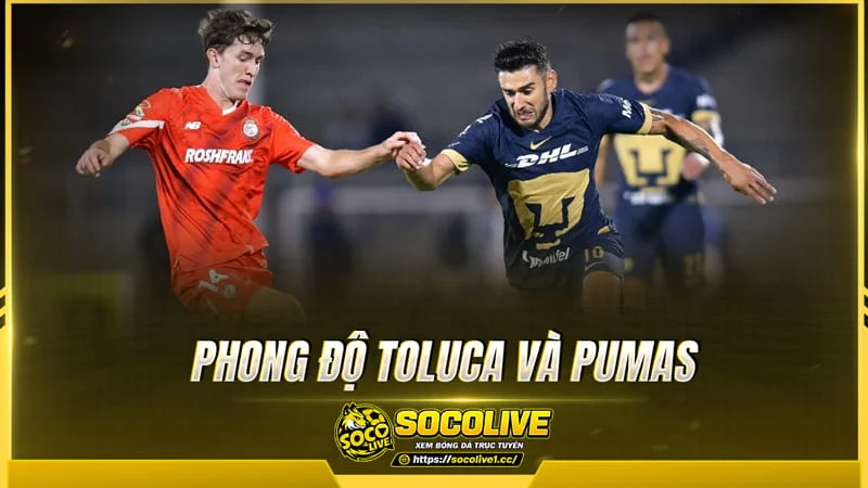 Dữ liệu phong độ được Socolive TV tổng hợp