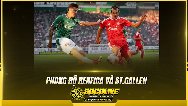 Phong độ Benfica và St.Gallen được Socolive TV tổng hợp