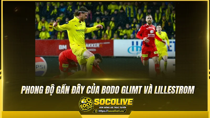 Phong độ Bodo Glimt và Lillestrom được Socolive TV tổng hợp