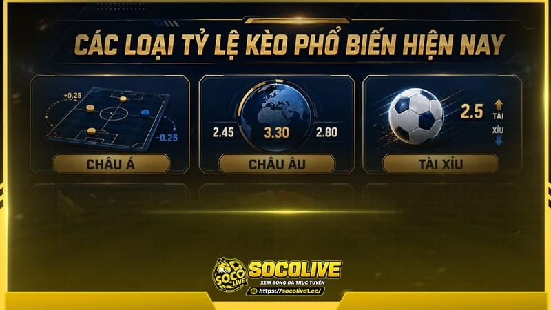 Socolive TV có đầy đủ các loại tỷ lệ kèo phổ biến hiện nay Socolive TV có đầy đủ các loại tỷ lệ kèo phổ biến hiện nay