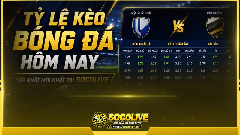 Tại Socolive tỷ lệ kèo nhà cái được tổng hợp theo từng cặp đấu Tại Socolive tỷ lệ kèo nhà cái được tổng hợp theo từng cặp đấu