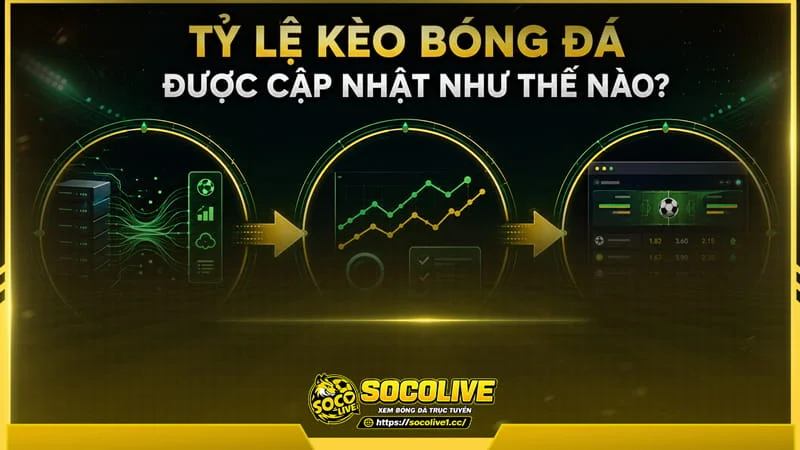Socolivetv mang đến hệ thống dữ liệu cập nhật liên tục Socolivetv mang đến hệ thống dữ liệu cập nhật liên tục