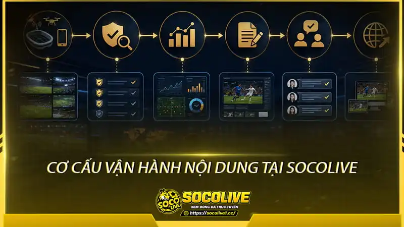 Cơ cấu vận hành nội dung tại Socolive