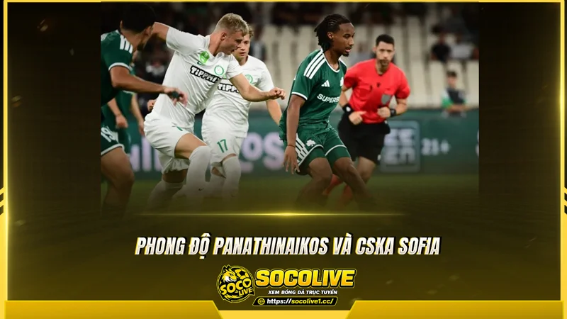 Phong độ Panathinaikos và CSKA Sofia được phân tích từ Socolive TV