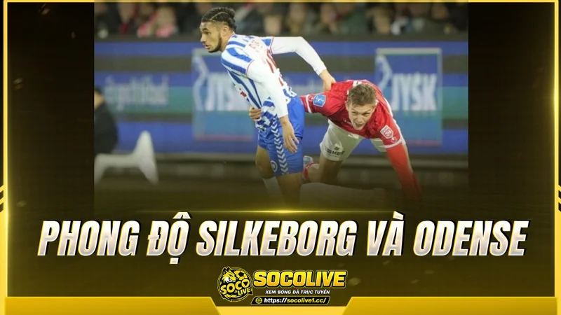 Phong độ Silkeborg và Odense được Socolive TV tổng hợp