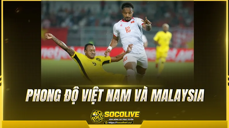 Phong độ Việt Nam và Malaysia được Socolive TV tổng hợp Phong độ Việt Nam và Malaysia được Socolive TV tổng hợp