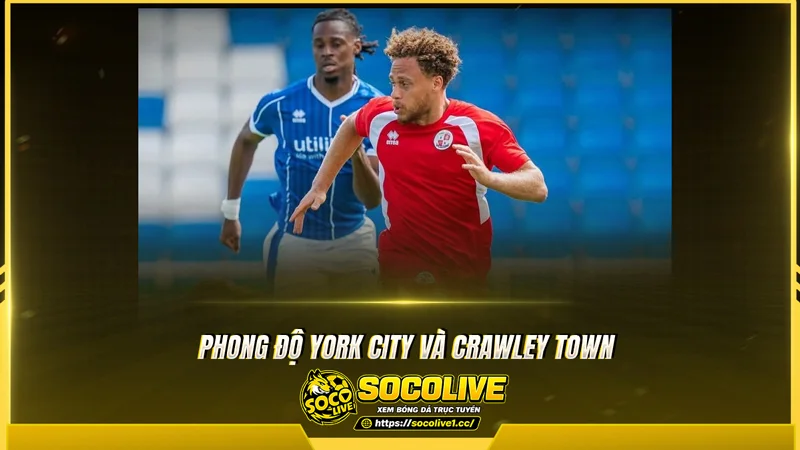 Phong độ York City và Crawley Town được Socolive TV tổng hợp