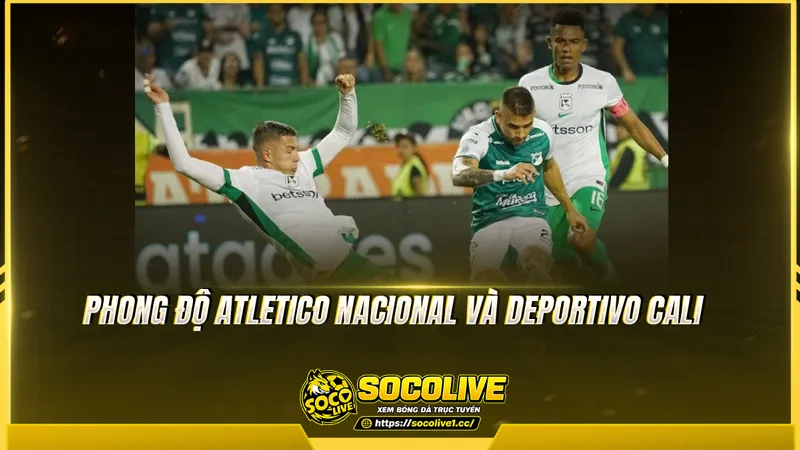 Phong độ Atletico Nacional và Deportivo Cali được Socolive TV tổng hợp Phong độ Atletico Nacional và Deportivo Cali được Socolive TV tổng hợp