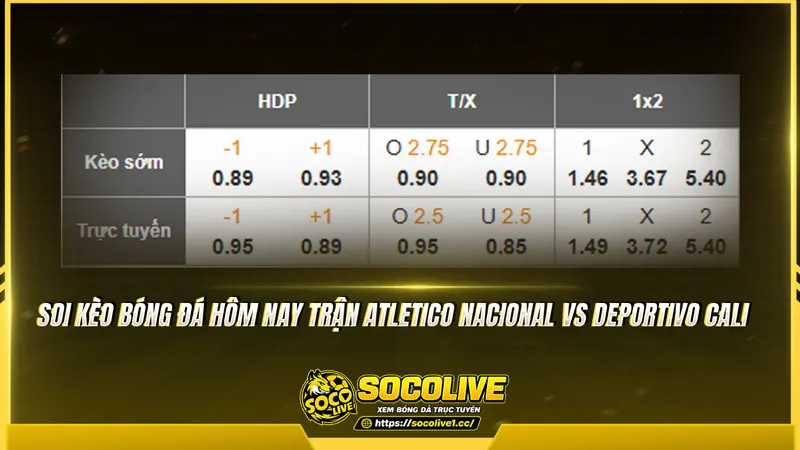 Soi kèo bóng đá hôm nay trận Atletico Nacional vs Deportivo Cali Soi kèo bóng đá hôm nay trận Atletico Nacional vs Deportivo Cali