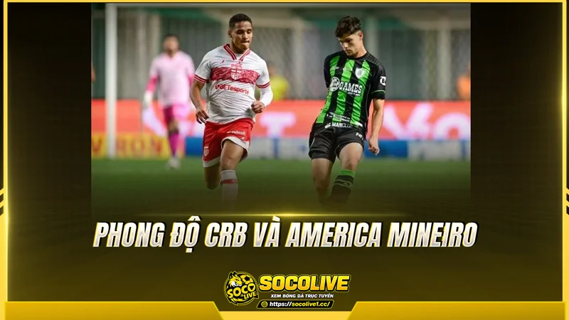 Phong độ CRB và America Mineiro được Socolive TV tổng hợp