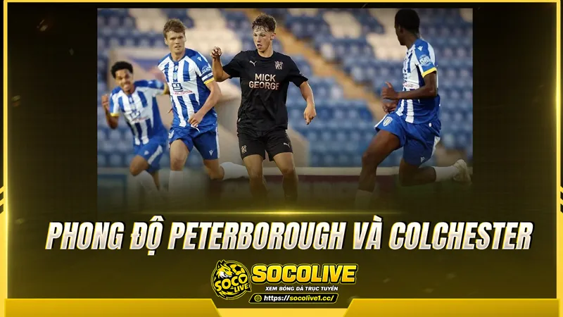 Phong độ Peterborough và Colchester được Socolive TV tổng hợp